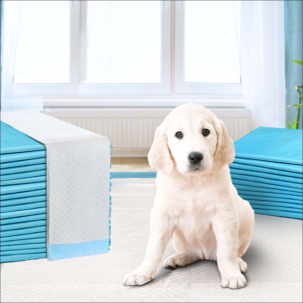 400pcs Puppy Dog Pet Training Pads Cat Toilet 60 X 60cm 