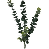 5 Pack - Long Eucalyptus Stem 77 Cm - Home & Garden > 