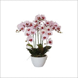 66cm Multi Butterfly Orchid - Pink - Home & Garden > 