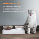 Pet Bowl Water Bowls Portable Anti Slip Skid Feeder Dog Rabbit Cat