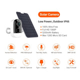 BDI F1 Full HD WiFi IP Camera with Solar Panel (include Solar Panel + 32G SD Cards)