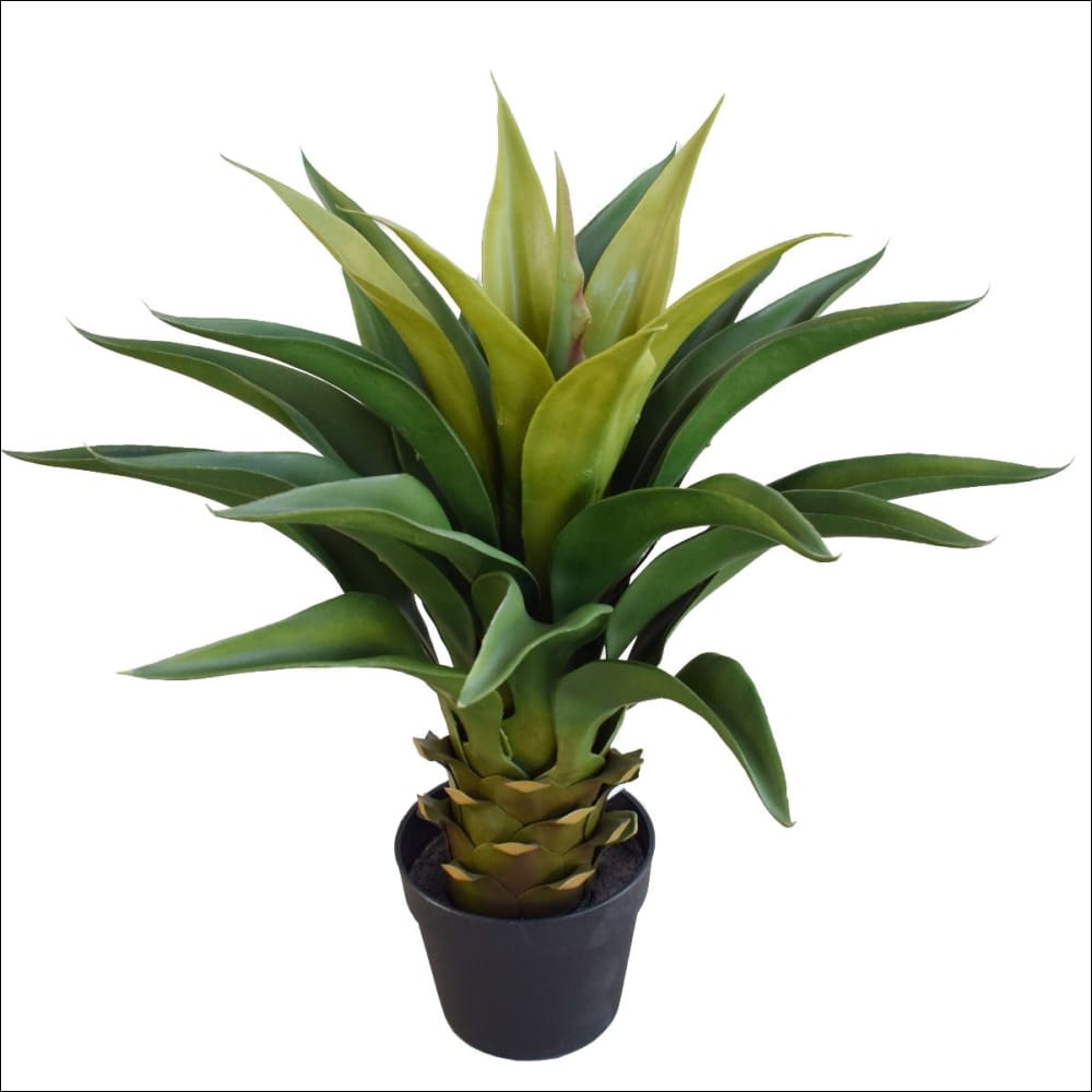 Agave 60cm Plant - Home & Garden > Artificial Plants