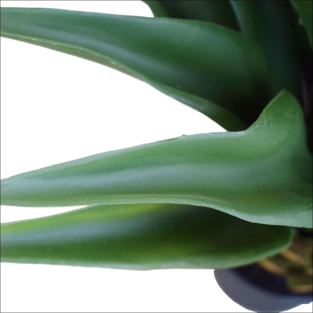 Agave 60cm Plant - Home & Garden > Artificial Plants