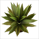 Artificial Dense Potted Aloe Vera Plant 50 Cm - Home & 