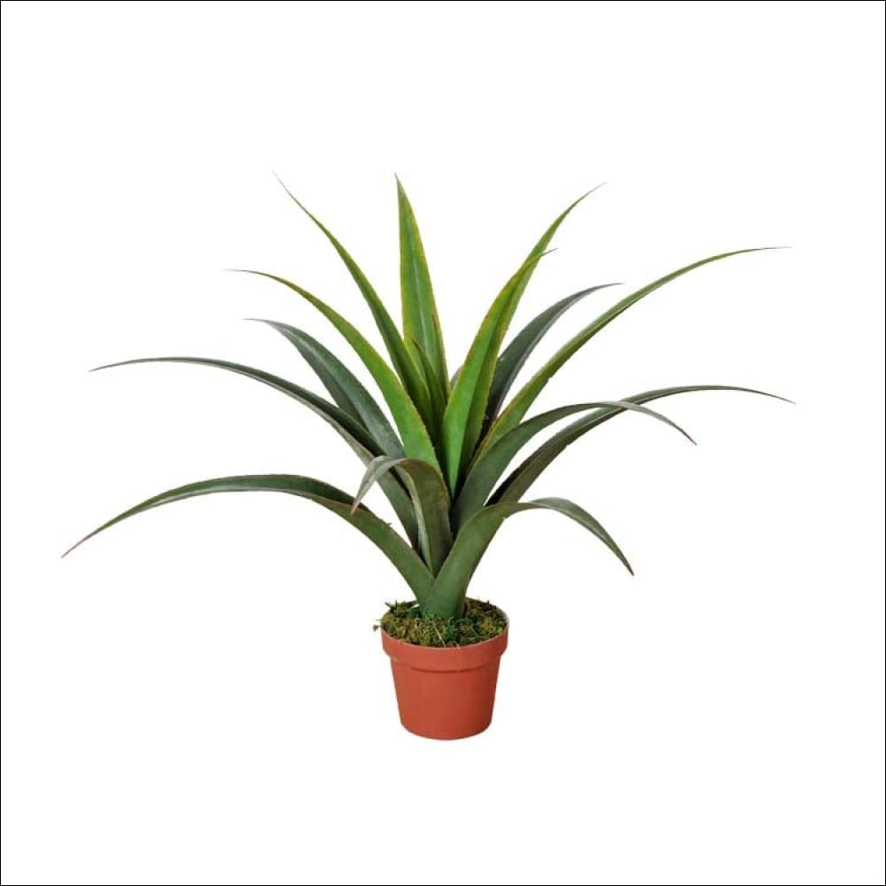 Artificial Dracaena Plants 80cm - Home & Garden > Artificial