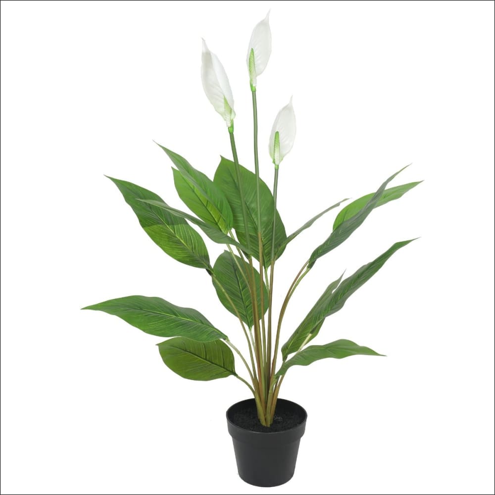 Artificial Flowering White Peace Lily / Calla Lily 95cm - 