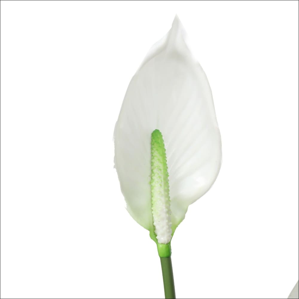 Artificial Flowering White Peace Lily / Calla Lily 95cm - 
