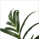 Artificial Kentia Palm Tree 150cm - Home & Garden > 