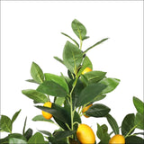 Artificial Lemon Tree (potted) with Lemons 150cm - Home & 