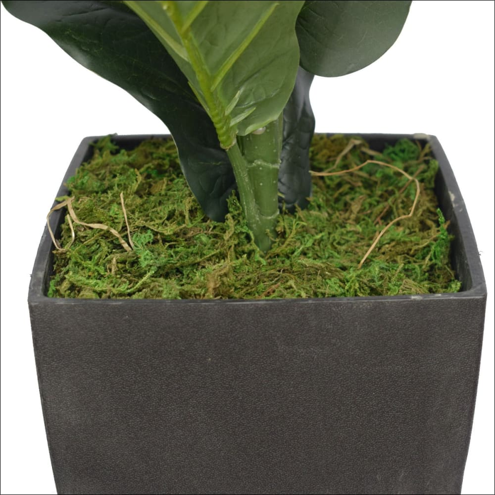 Dense Fiddle Leaf Fig Tree 70cm - Home & Garden > Artificial