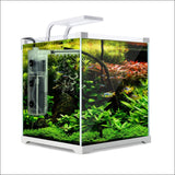Dynamic Power Aquarium Fish Tank 16l Starfire Glass - Pet 