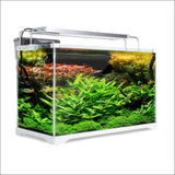 Dynamic Power Aquarium Fish Tank 39l Starfire Glass - Pet 