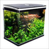Dynamic Power Aquarium Fish Tank 52l Curved Glass Rgb Led - 