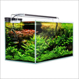 Dynamic Power Aquarium Fish Tank 70l Starfire Glass - Pet 