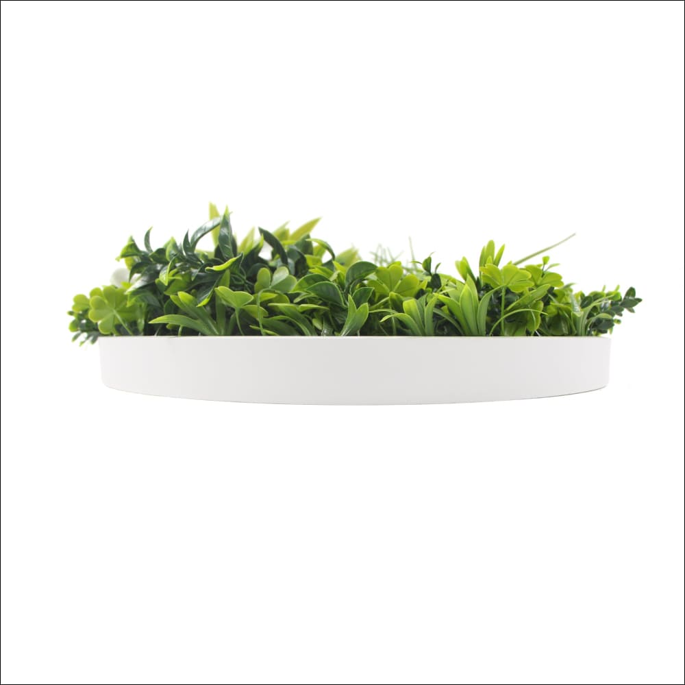 Flowering White Artificial Green Wall Disc Uv Resistant 75cm