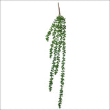 Hanging Succulent String of Pearl Beads 75cm - Home & Garden