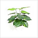 Lily Stem 32cm - Home & Garden > Artificial Plants