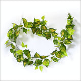 Mixed Yellow and Red Pothos Garland 190cm - Home & Garden > 