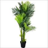 Multi Trunk Hawaii Palm 180cm - Home & Garden > Artificial 