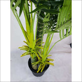 Multi Trunk Hawaii Palm 180cm - Home & Garden > Artificial 