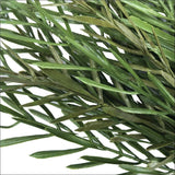 Native Tea Tree Stem Uv Resistant 45cm - Home & Garden > 