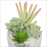 Potted Artificial Succulent Bowl with Marble Pot 20.5cm - 