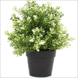 Small Potted Artificial White Jade Plant Uv Resistant 20cm -