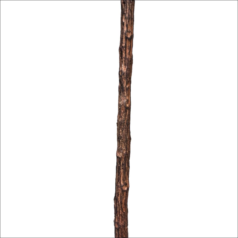 Tall Artificial Fiddle Leaf Fig 170cm - Home & Garden > 