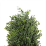 Uv Resistant Cypress Pine Tree 1.8m - Home & Garden > 