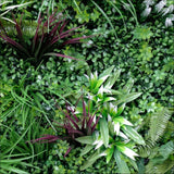 Vista Green Vertical Garden Green Wall Uv Resistant 100cm X 